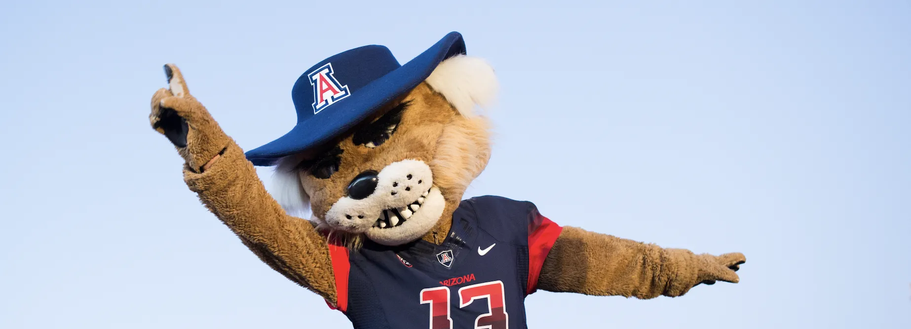 Wilbur the Wildcat