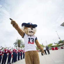 Wilbur Wildcat mascot with marching band